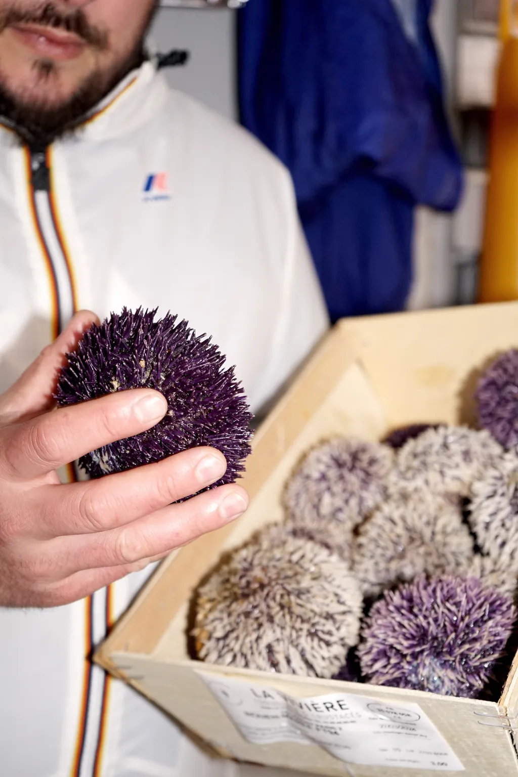 Chef privé à Cannes